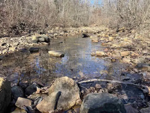 Recreational Timberland with Creek Access