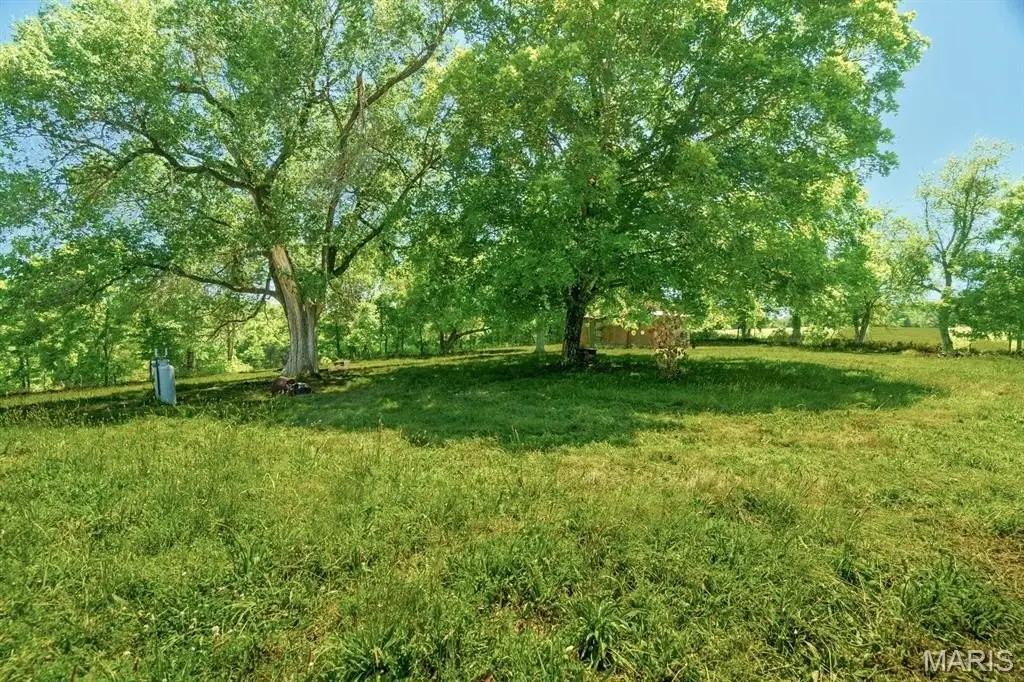 Picture 45