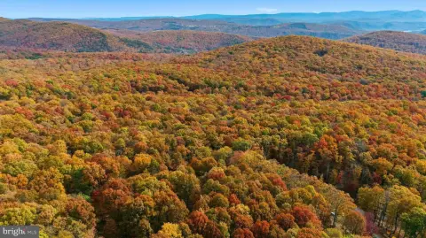 Land For Sale Mathias, WV