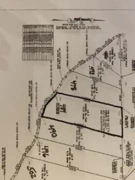 Saltillo Land in Pine Wood