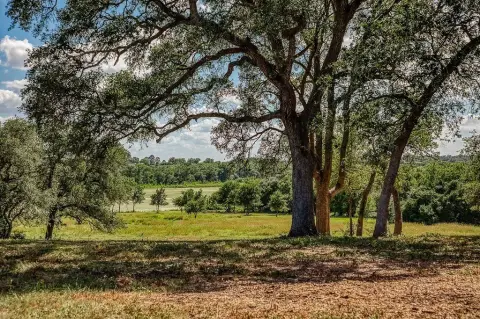 Fayetteville Acreage with Lakeside Access