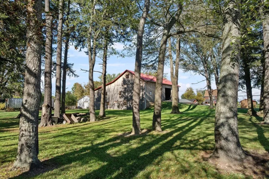 Picture 48