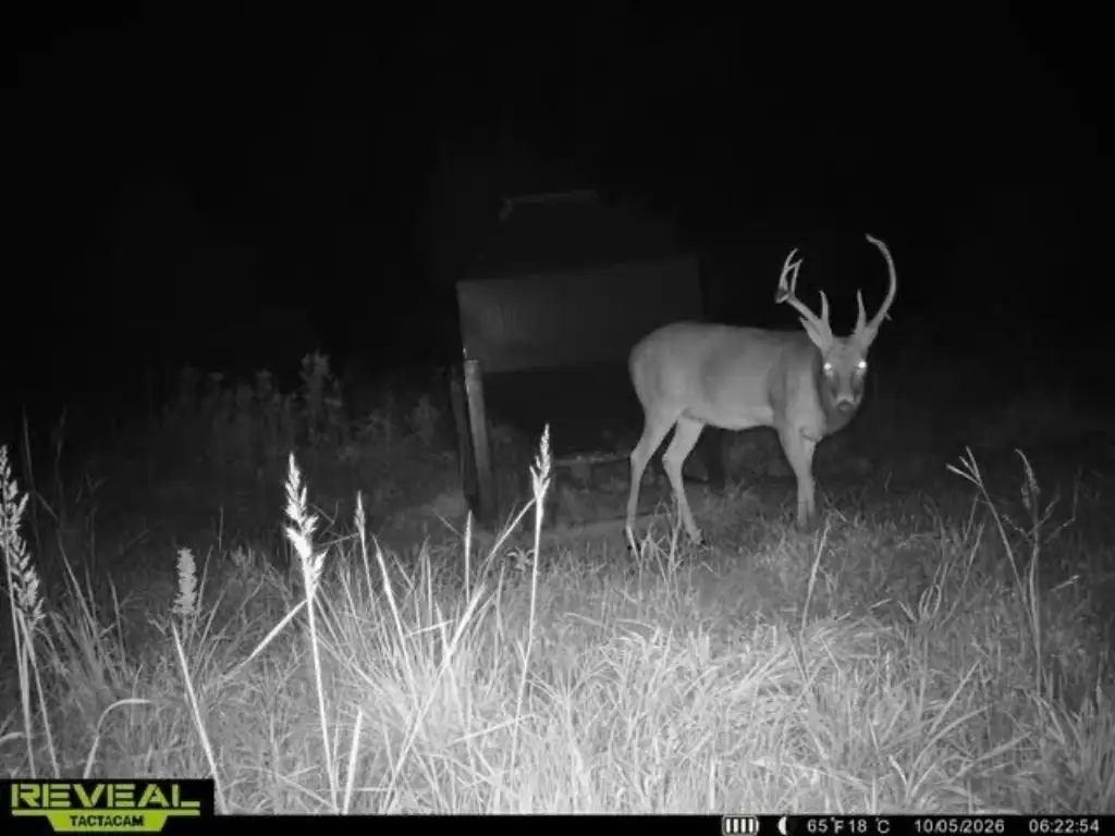 Picture 38