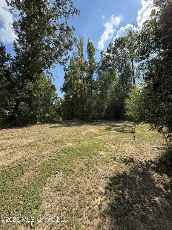Picture 4