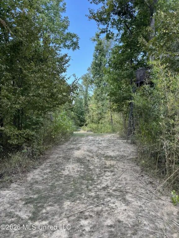Picture 16
