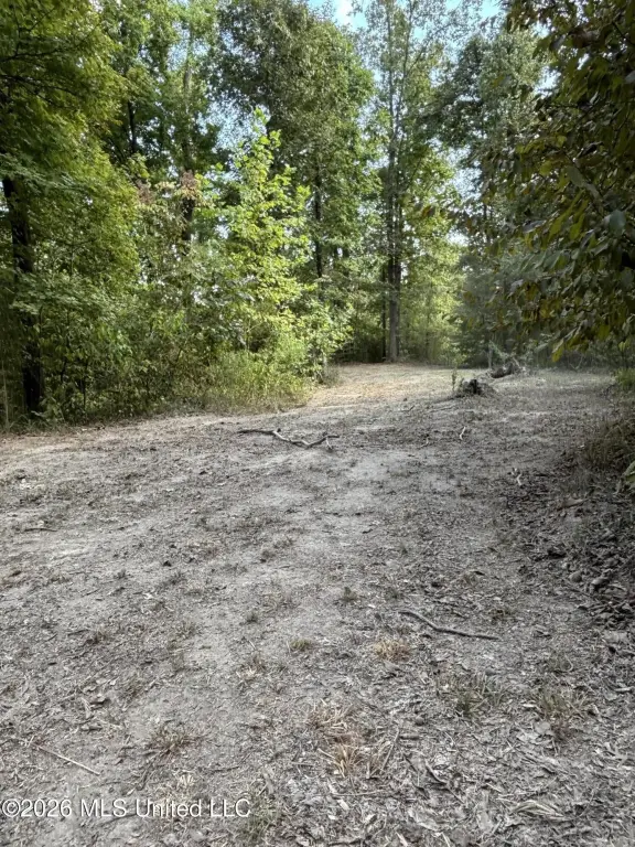 Picture 11