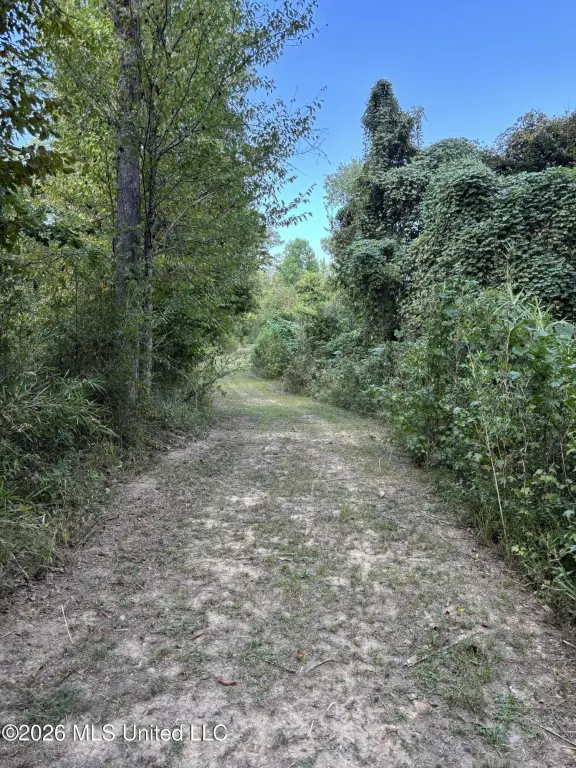 Picture 17