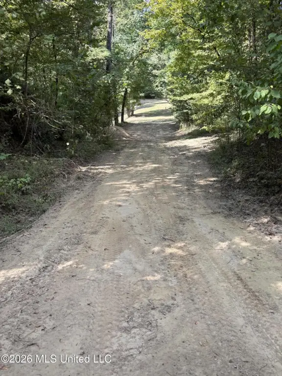 Picture 18