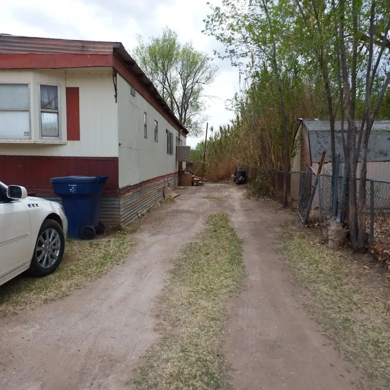 Picture 19