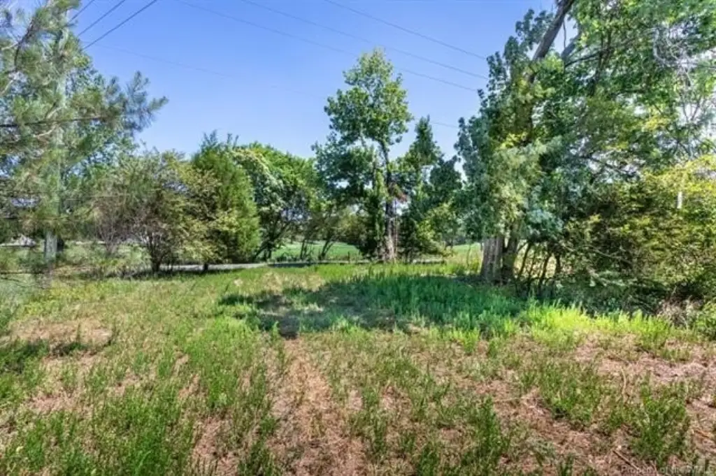 Picture 17