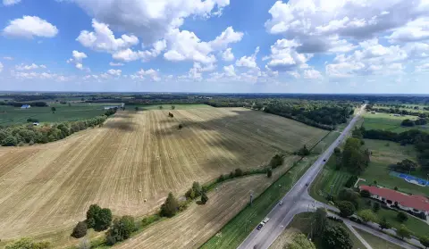 Farm with Livestock Barns