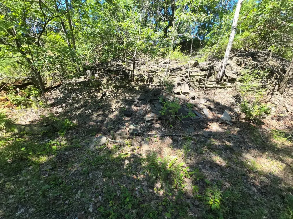 Picture 47