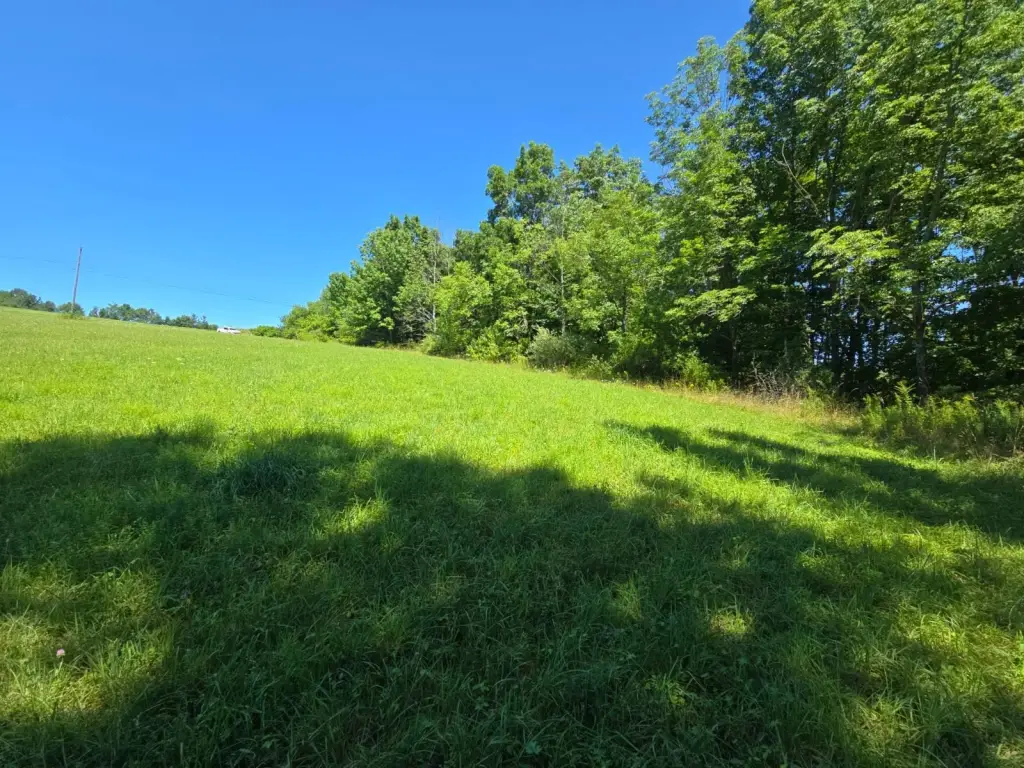 Picture 15