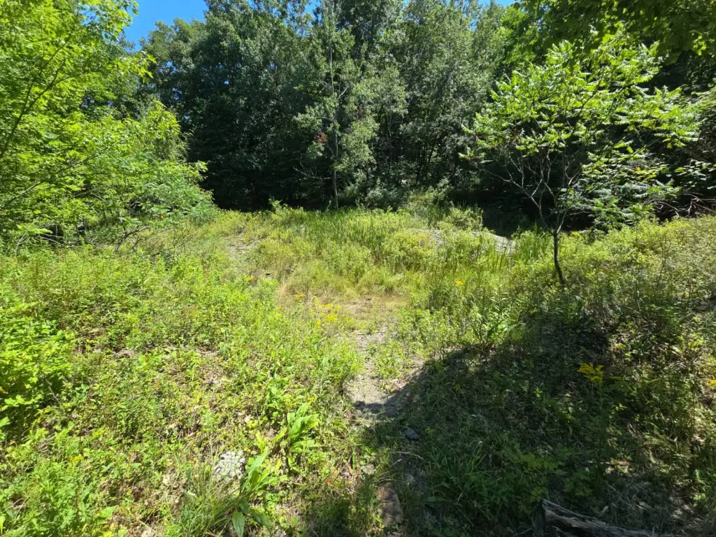 Picture 45