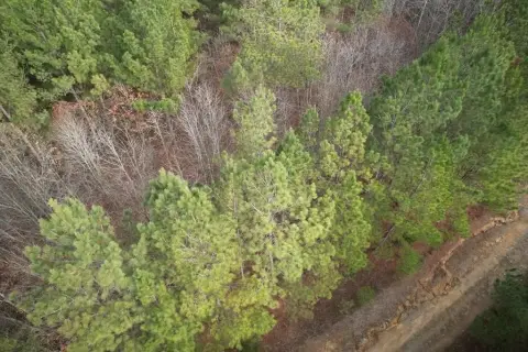 Residential Land in Spencer, TN