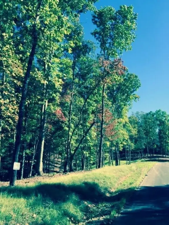 Picture 5