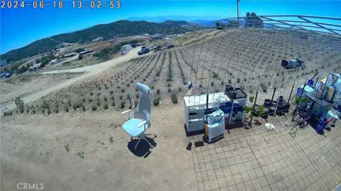 Acton Land with Lavender Plants