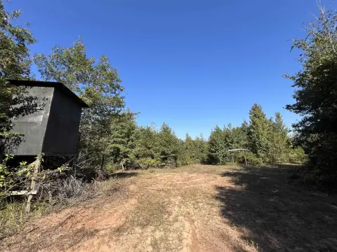 Avinger, TX Wooded Land