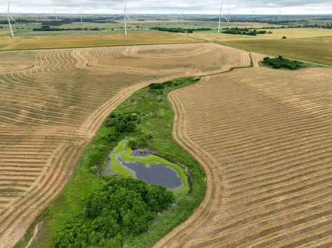 160 Acres of Fertile Land