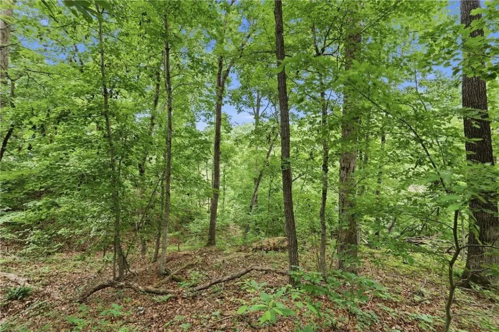 Picture 30
