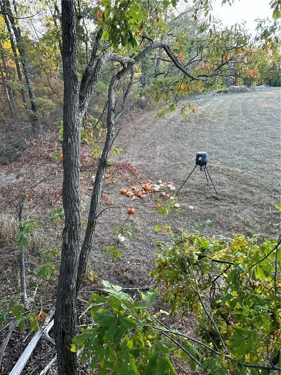 Picture 8