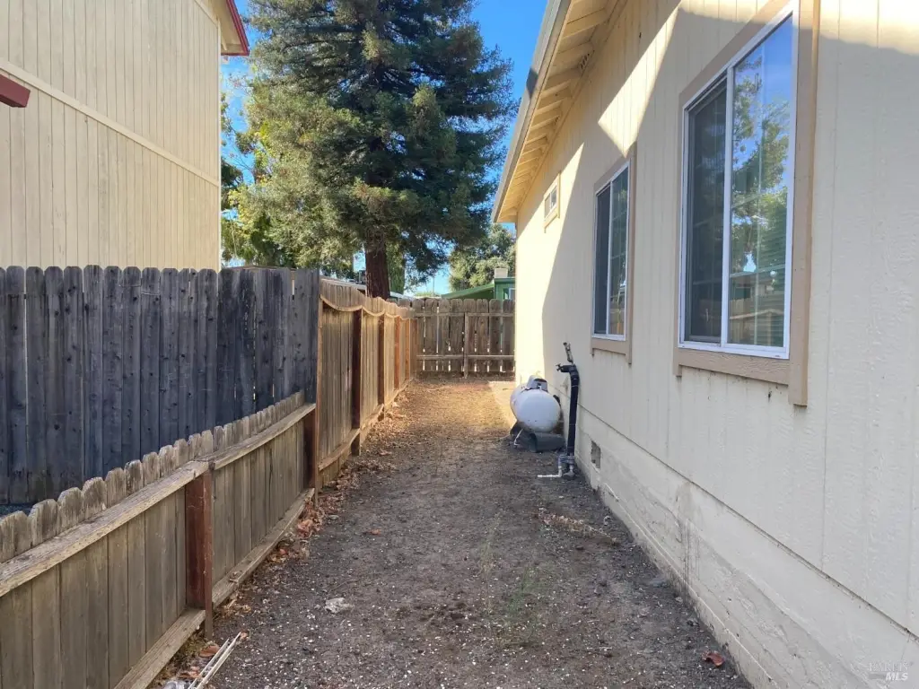Picture 14