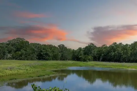 Unrestricted 20-Acre Texas Sanctuary