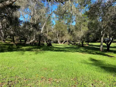 Cambria Pines Estates Land