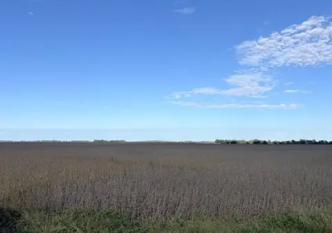 Agricultural Land
