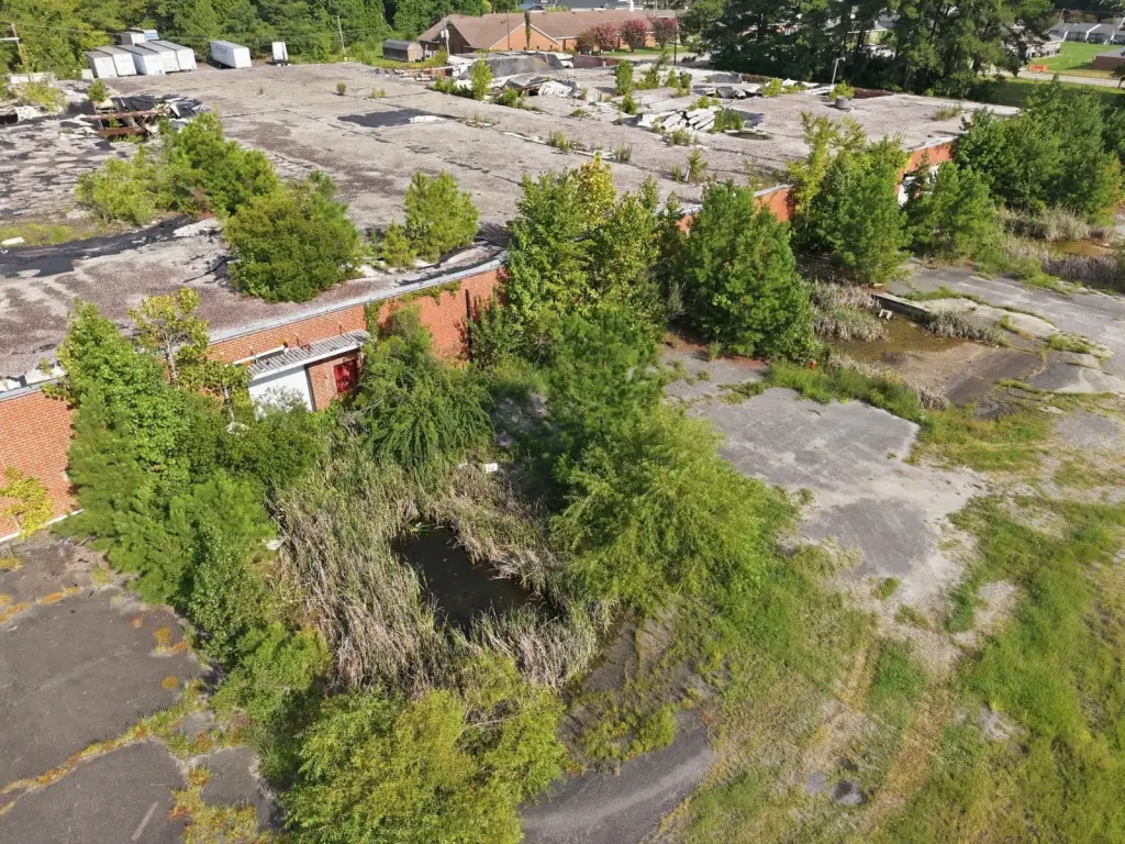 Picture 25