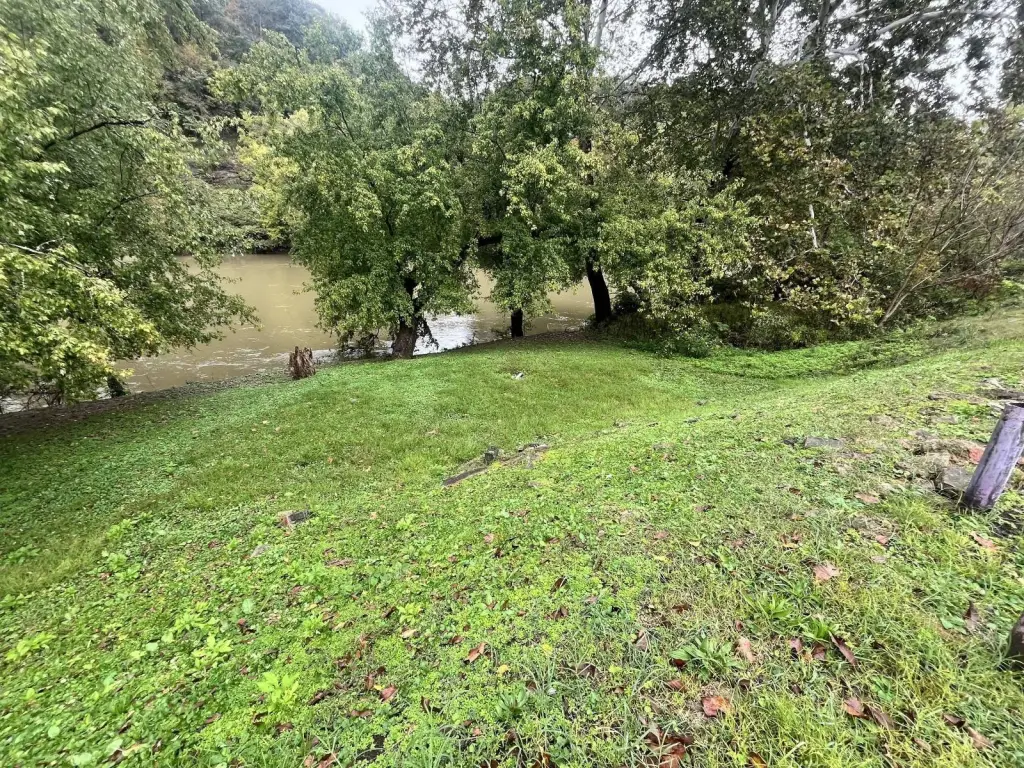 Picture 19
