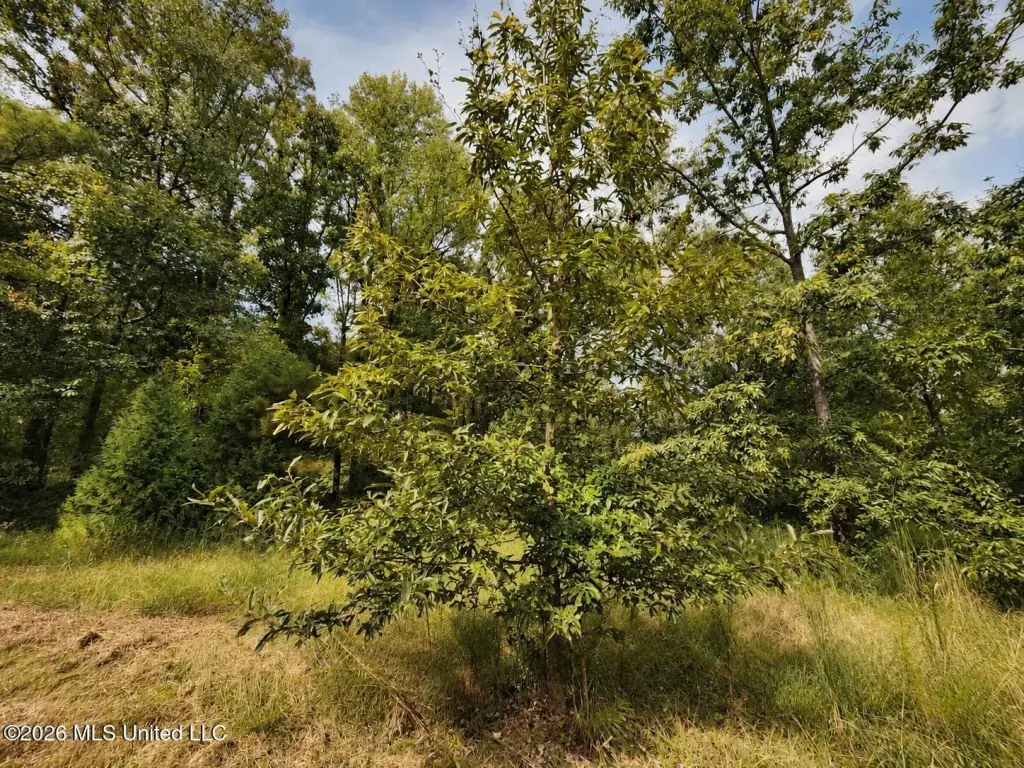 Picture 24