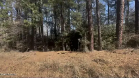 Wooded Residential Land Parcel