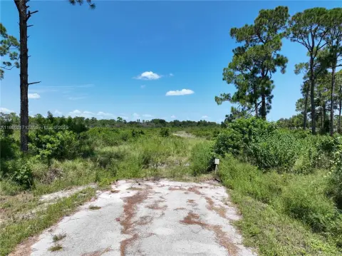 Prime Commercial Lot in Sebring