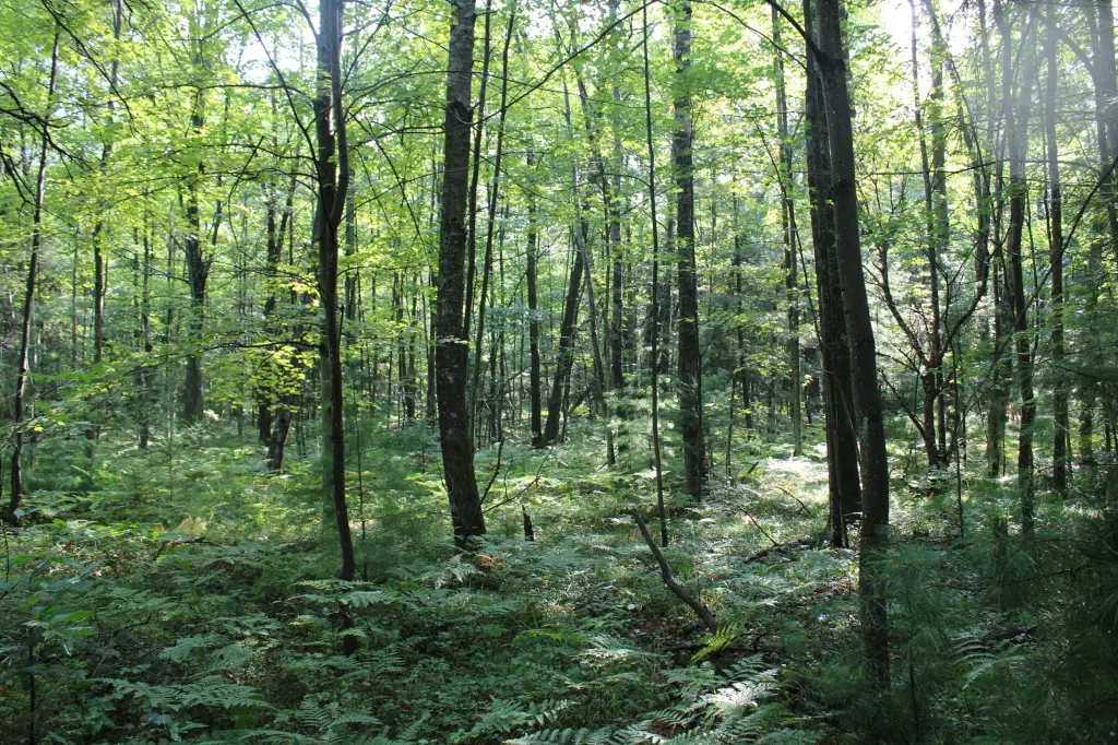 Picture 21