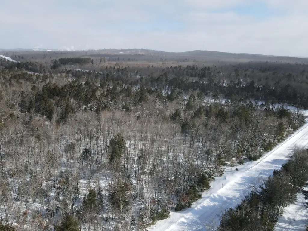 Picture 12