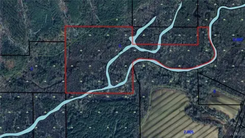 64 Acres of Raw Land