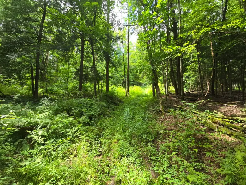 Picture 16