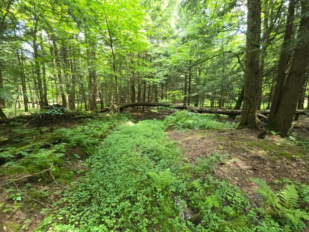 Picture 15