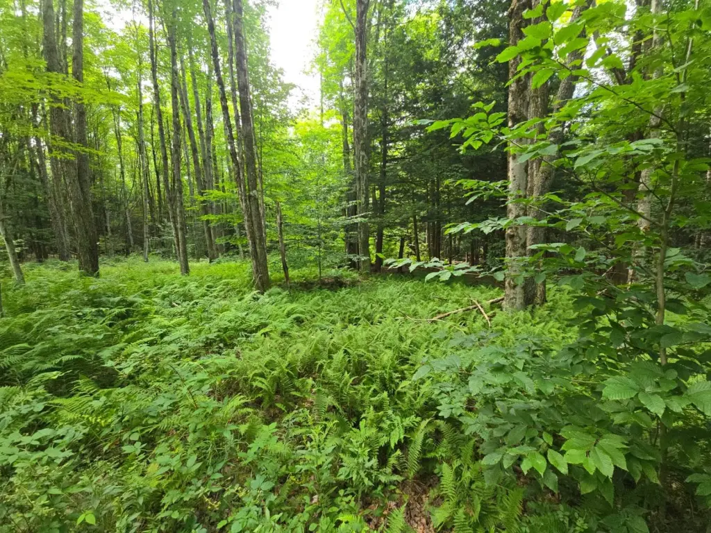 Picture 27