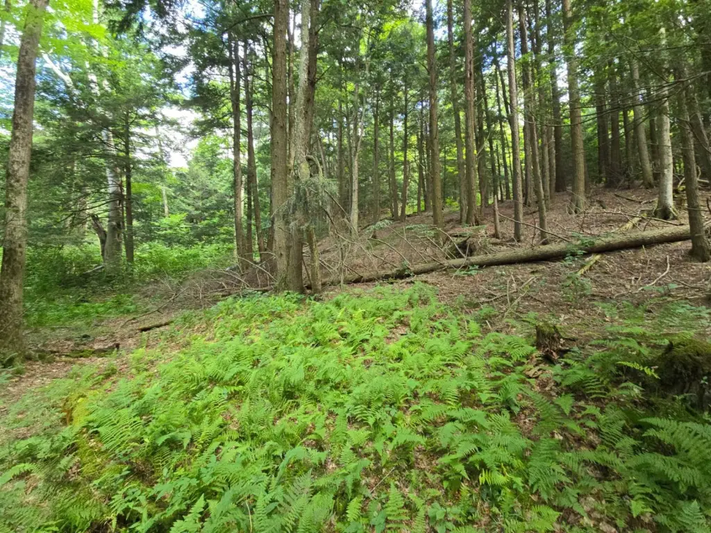 Picture 22
