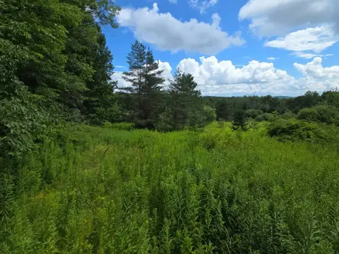 Wooded Hunting Land