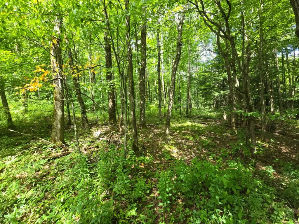 Picture 14