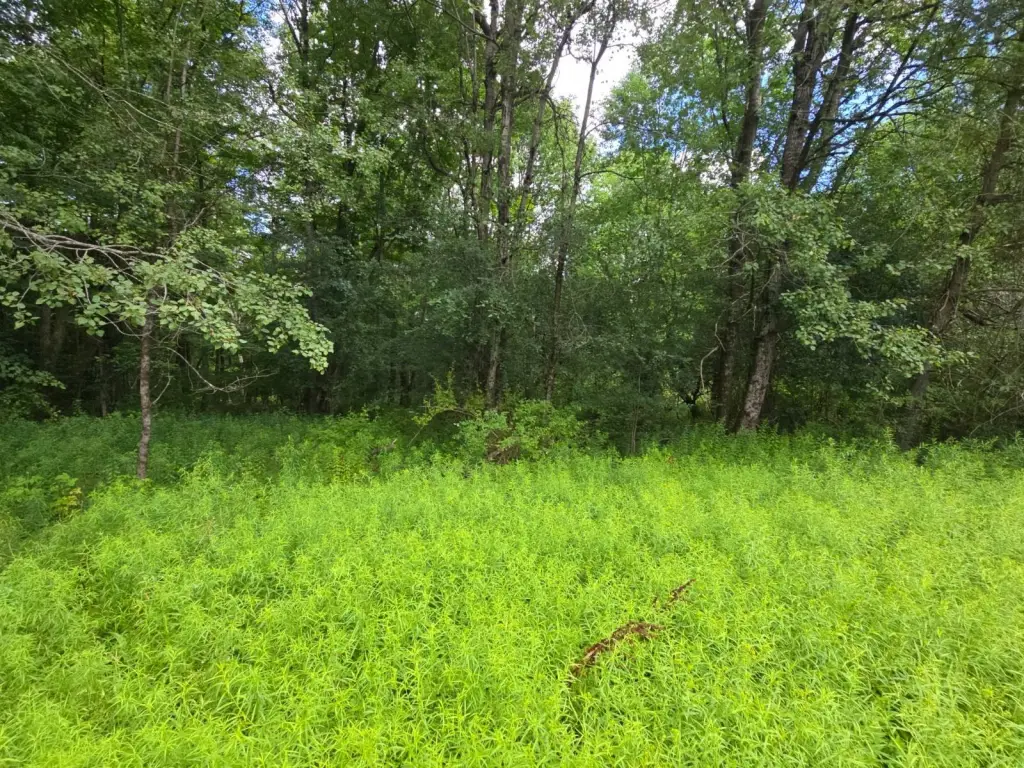 Picture 6