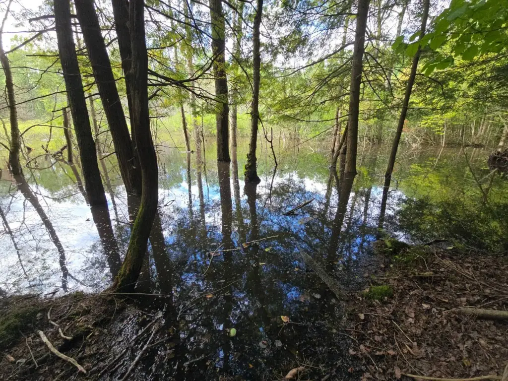 Picture 23