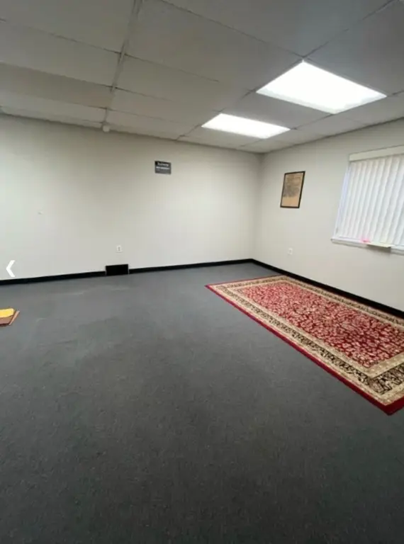 Picture 5