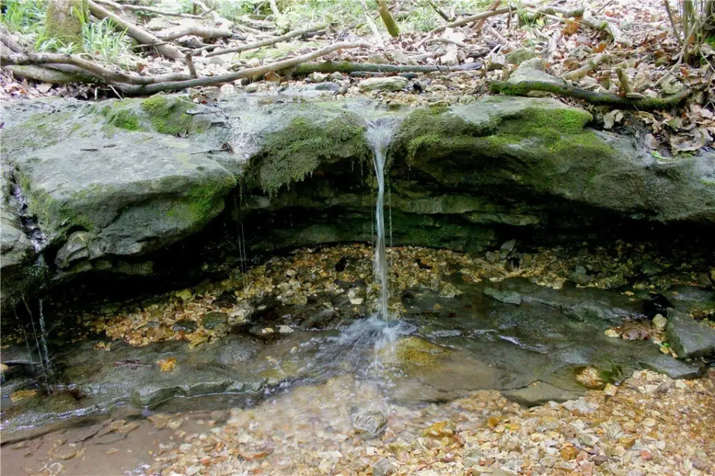 Picture 44