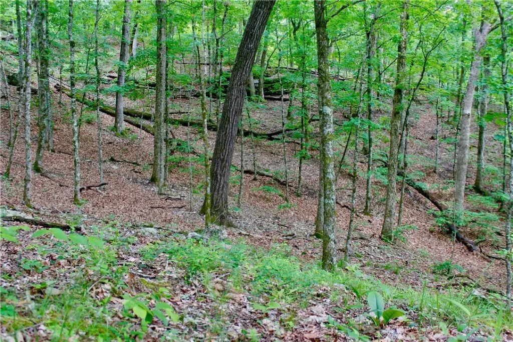 Picture 41