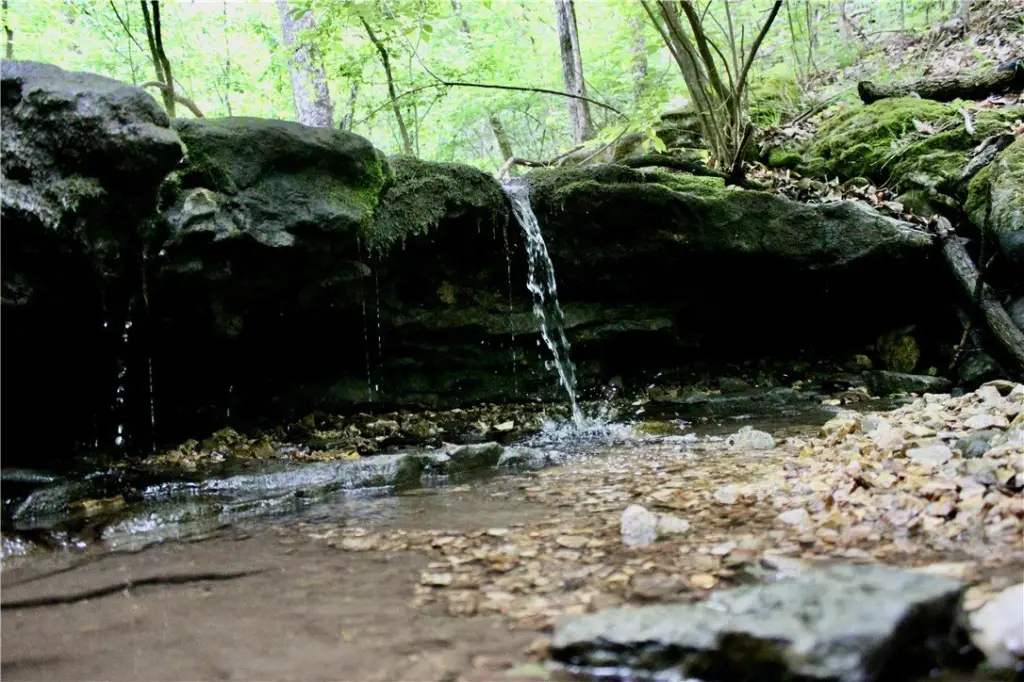 Picture 19