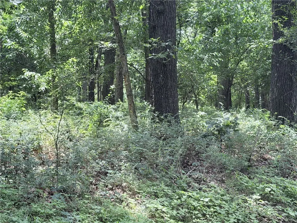Picture 4